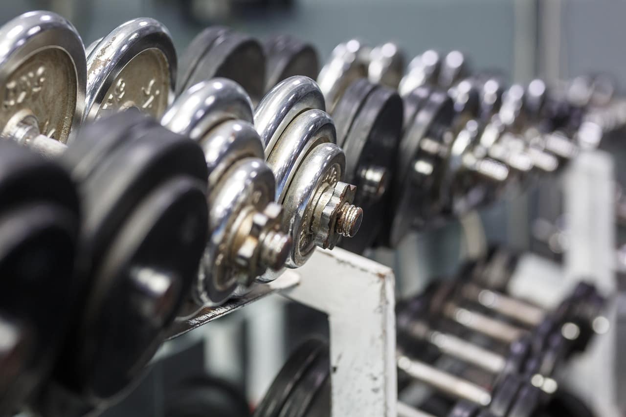 fitness-4938216_1280 gym weights